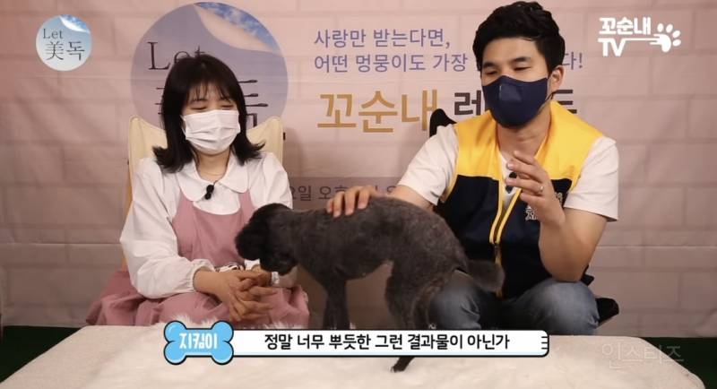 못 생겼다는 이유로 버려져서 안락사 위기였던 강아지 | 인스티즈