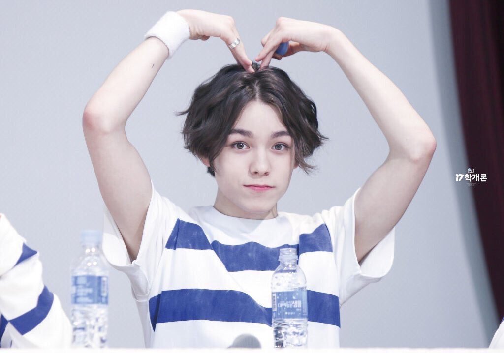 [잡담] 세븐틴 버논 진짜 갓난쟁이 시절에 데뷔한 게 새삼 | 인스티즈
