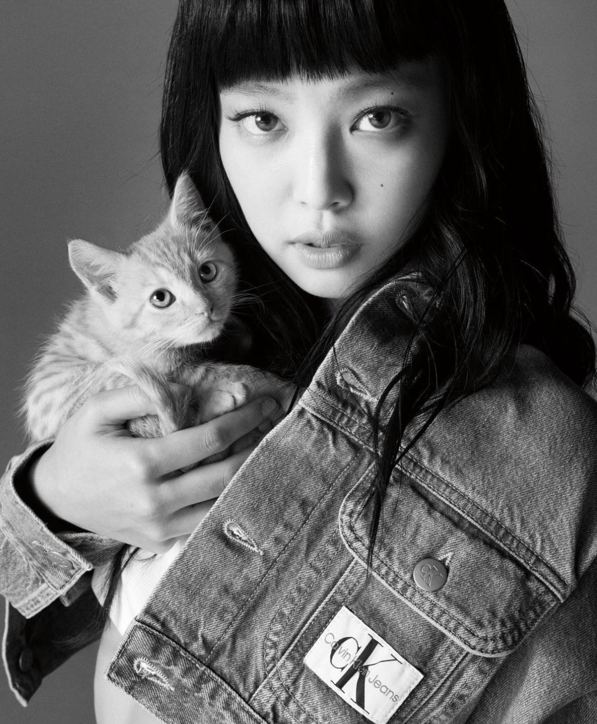 [잡담] ??? 제니 뭐임? 고양이 분신술임?? | 인스티즈