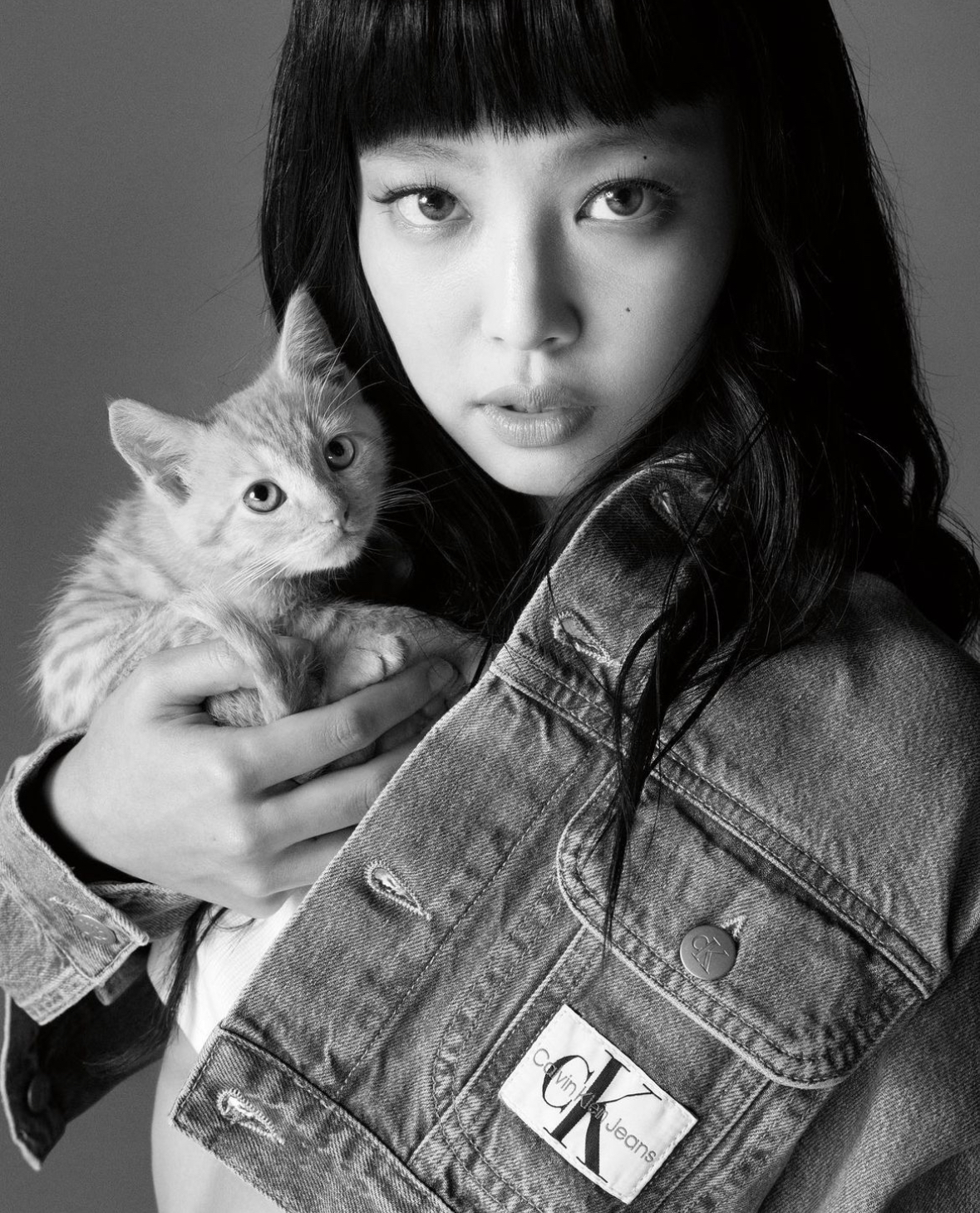 [잡담] 고양이 두 마리 그 자체 | 인스티즈