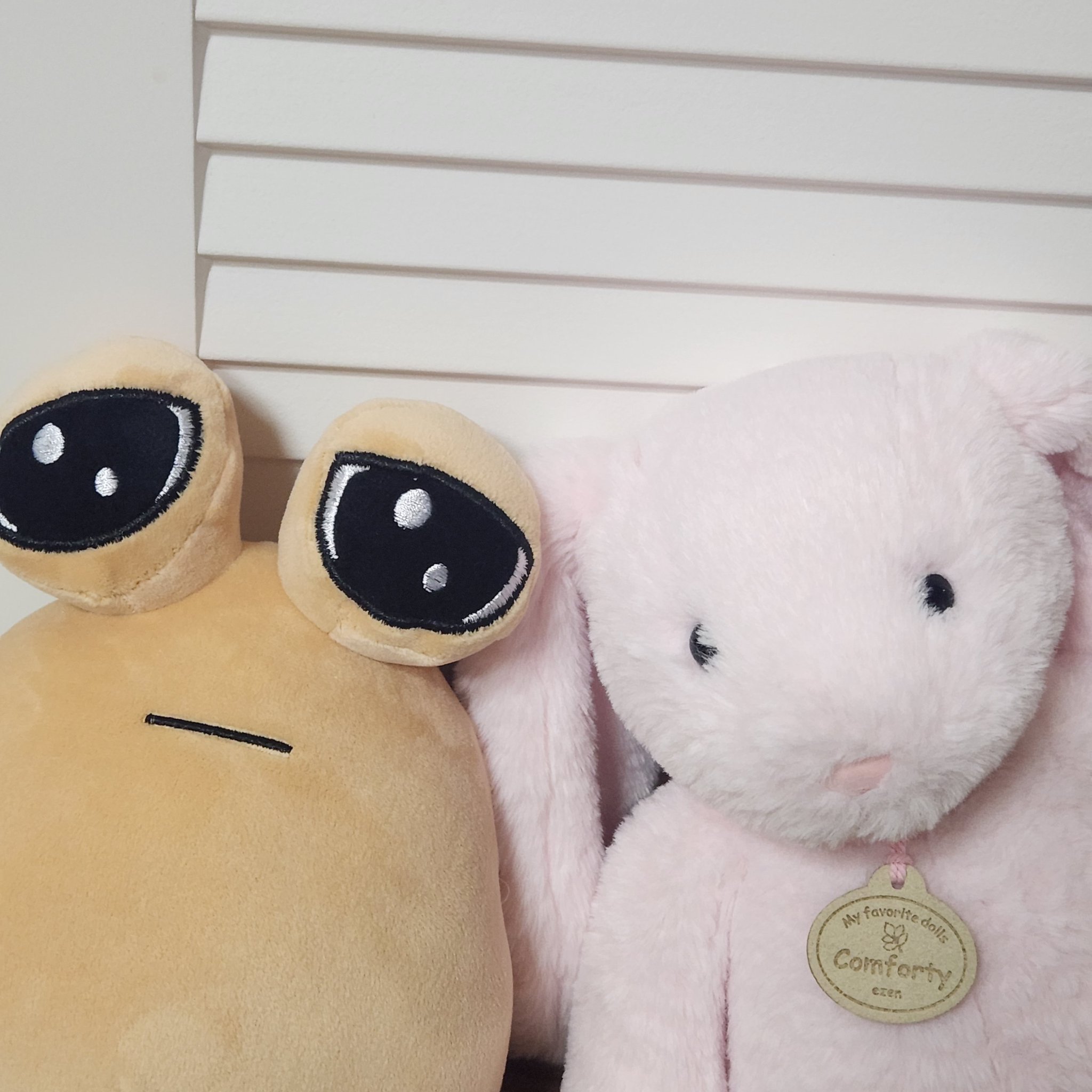 [잡담] 아나 누가 이거 자기집에 있는 나캠든 한유진이래 | 인스티즈