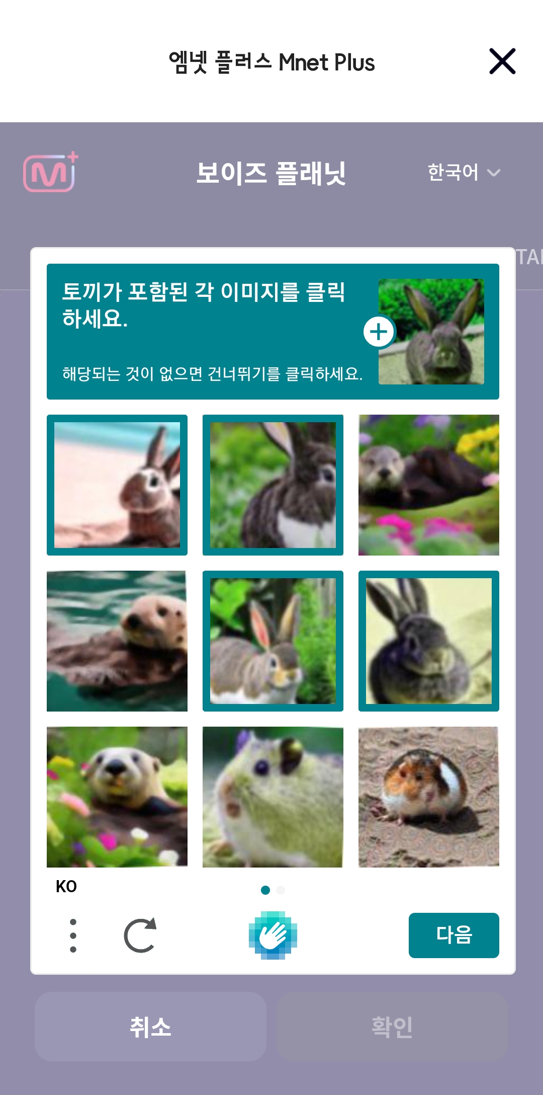 [잡담] 아니 근데 보플 퀴즈(?) 나만 어려워? | 인스티즈