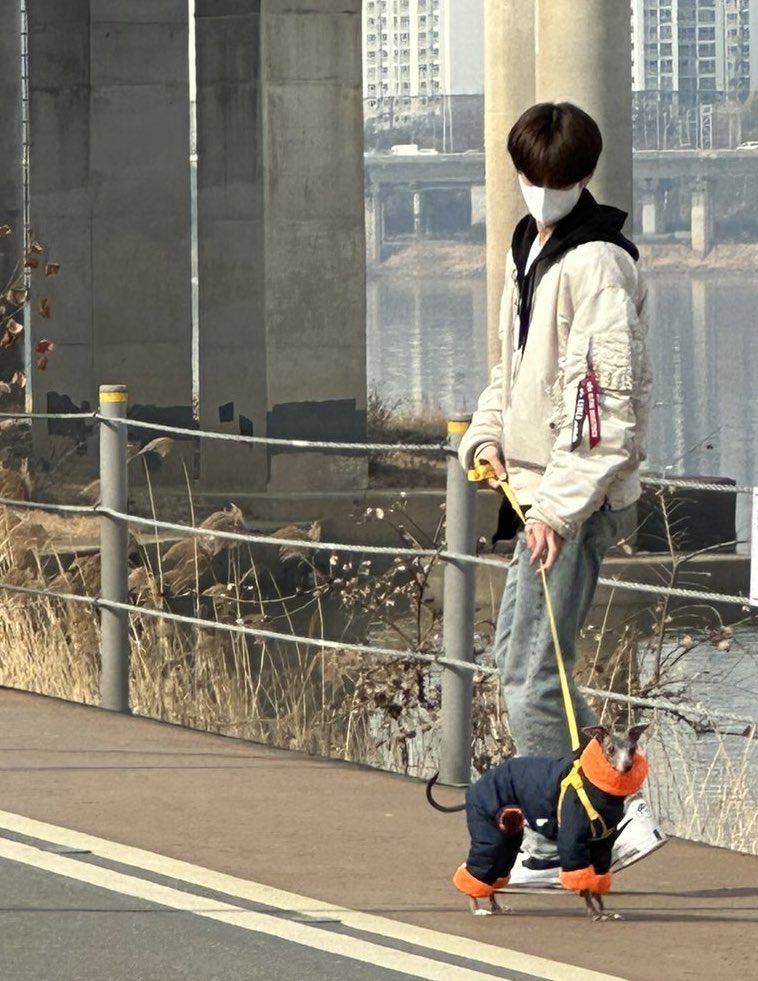 [잡담] 아니 자기들 닮은 강아지 키우는거 겁나 웃기네 (주어 보플 | 인스티즈