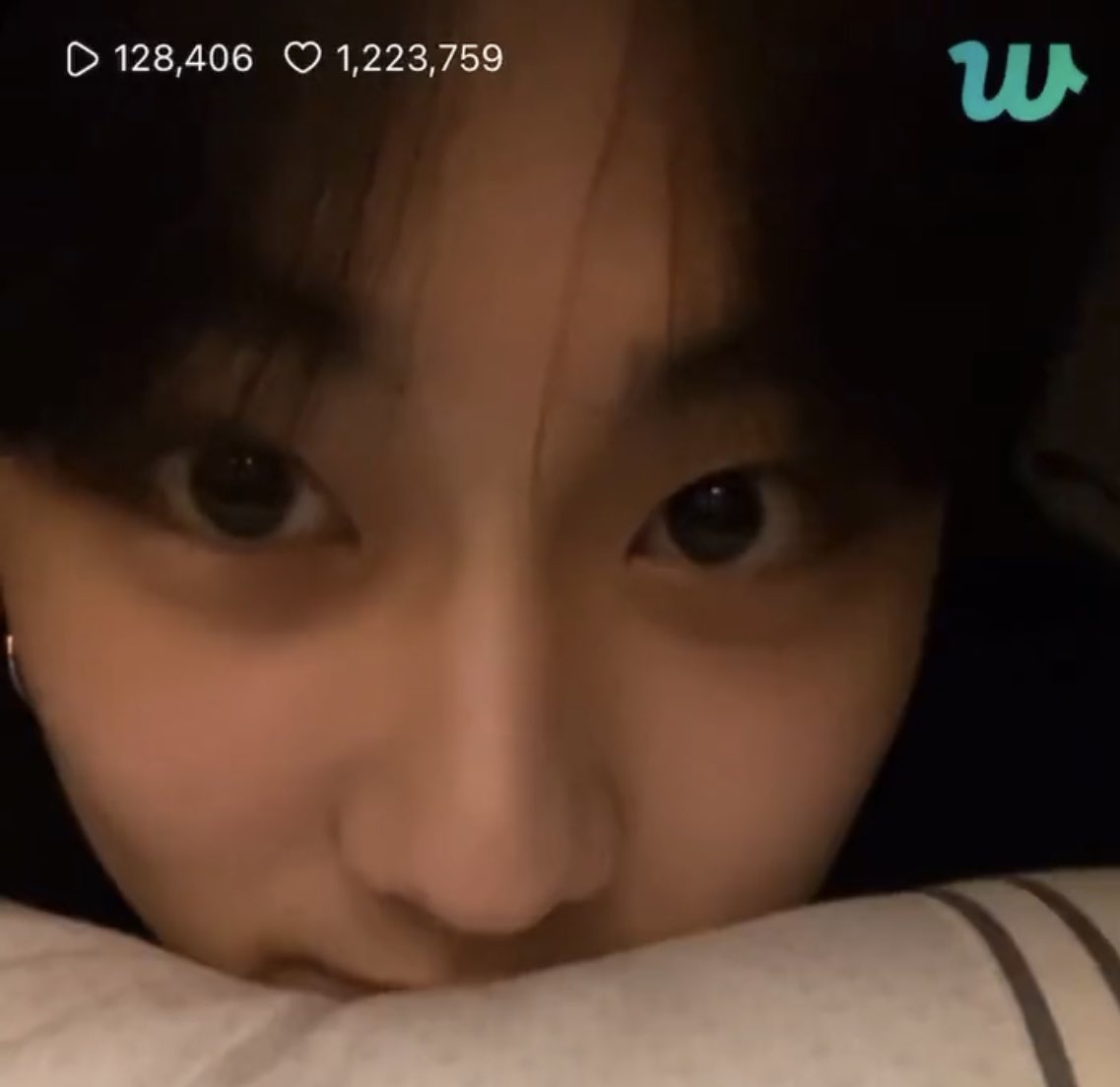[잡담] 우리집 고양이 몰래 라이브하는 중이네 | 인스티즈