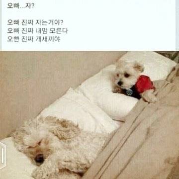 아 나 이거 왜 웃기지 | 인스티즈