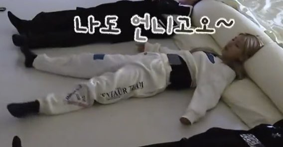 [잡담] 조미연 아무래도 불가사리 수인인 듯? | 인스티즈