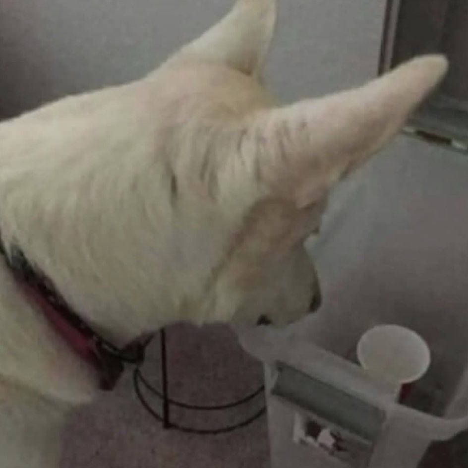 [잡담] 이상하네...방청 문자랑 전화가 왜 안 오지?^^ | 인스티즈