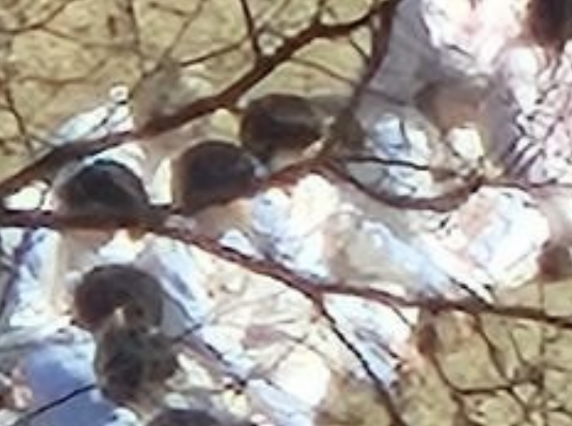 [잡담] ㅈㅅㅇㅇㅂ 안보이지않음?(ㅅㅍ | 인스티즈