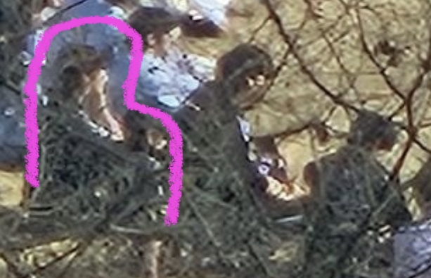 [잡담] 세마넴 성한빈 확실한거같은게(ㅅㅍ | 인스티즈