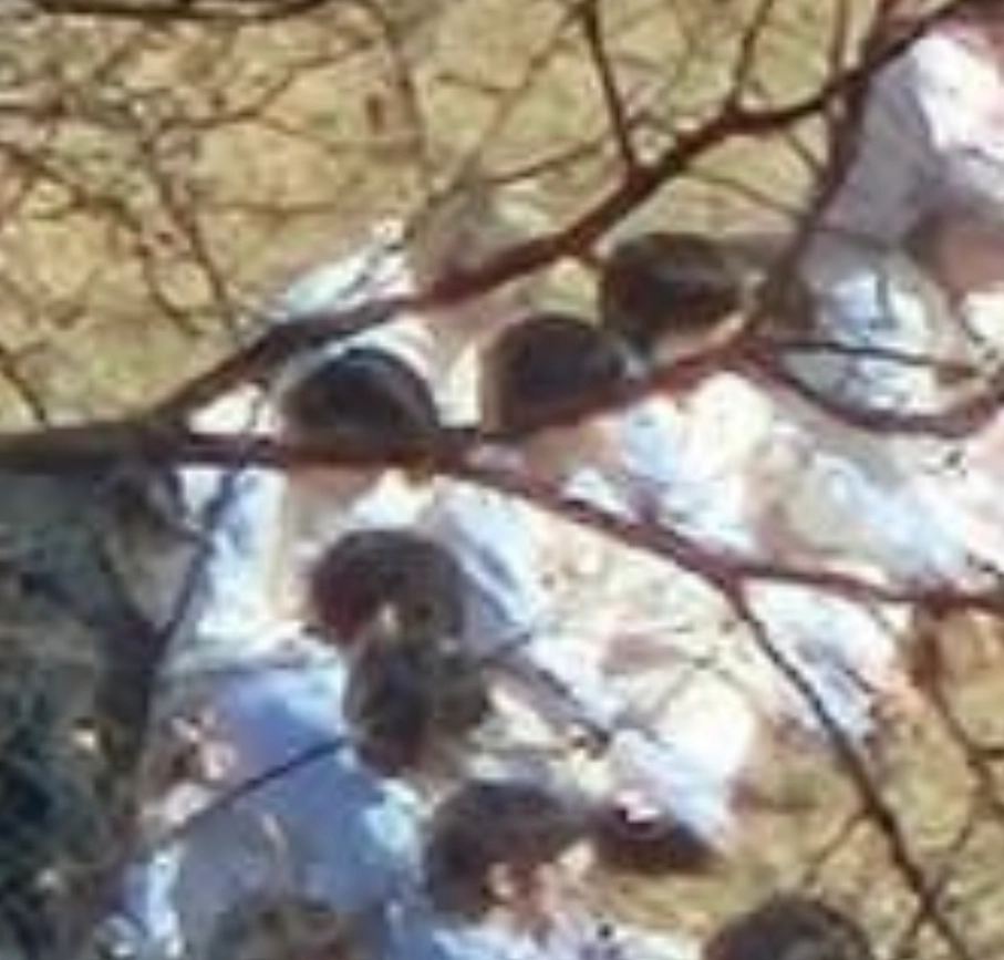 [잡담] 맨 왼쪽 장하오 맞겠지 | 인스티즈