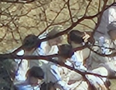 [잡담] 장하오 오버미 백퍼다 | 인스티즈