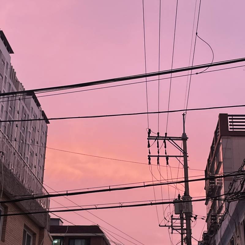 📢넷플릭스 프리미엄 한 명 모집해요 | 인스티즈