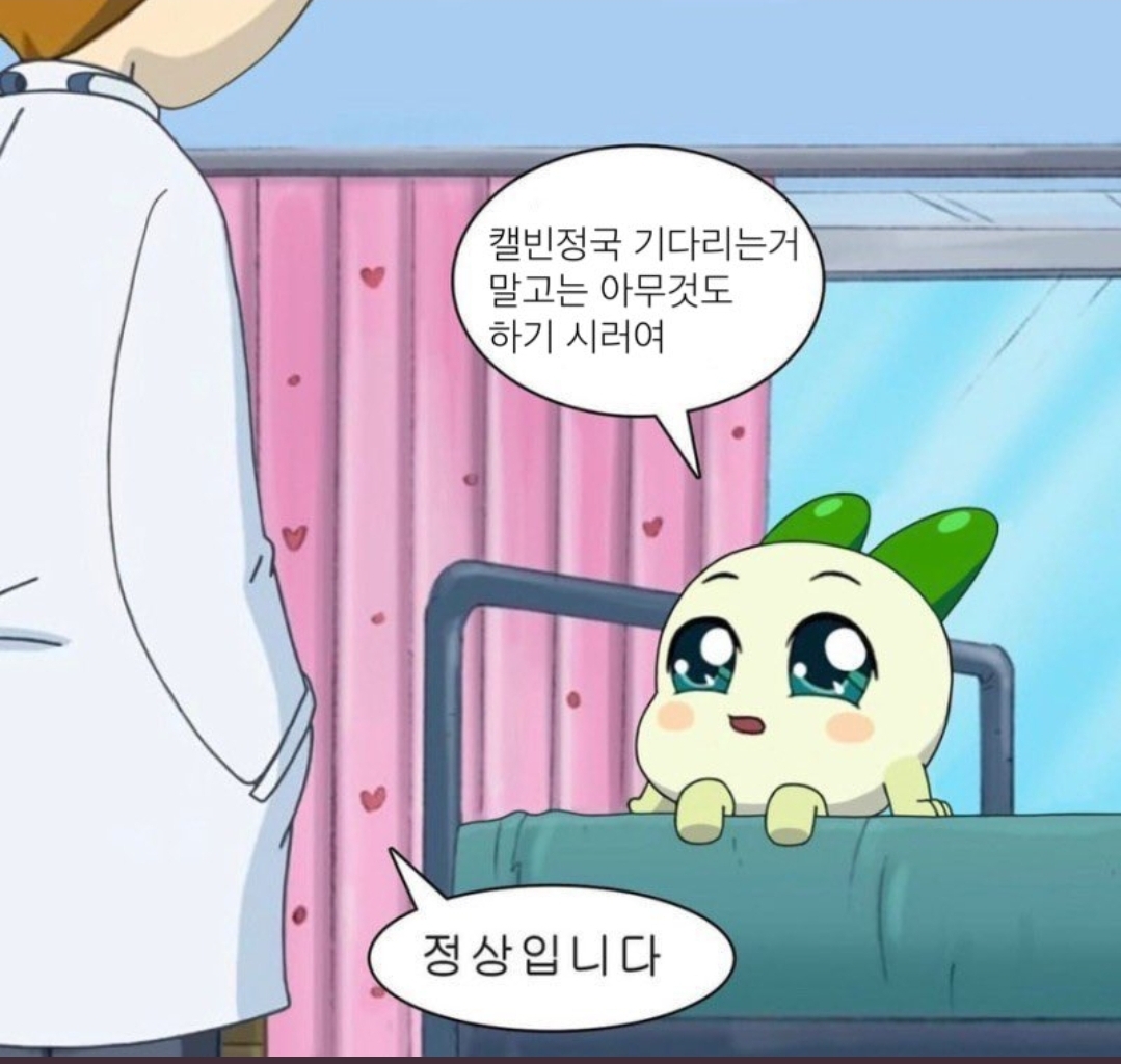 [잡담] 캘빈 정국 오늘 주세요🙏 | 인스티즈