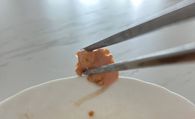 연어 먹고있는데 이거 뭐야..? | 인스티즈