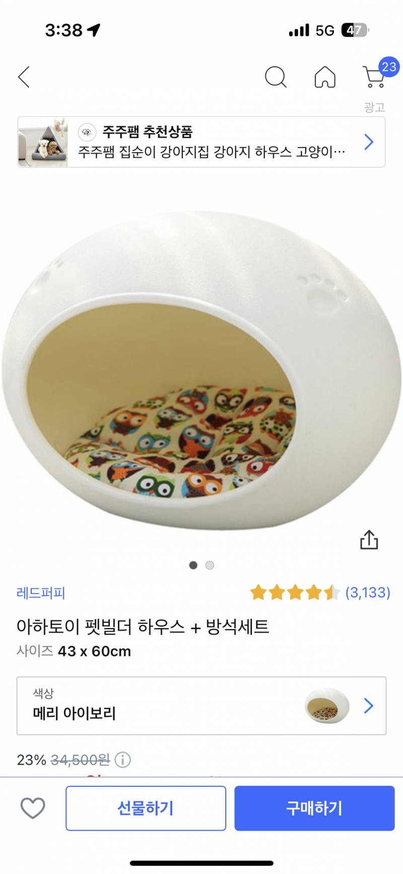 강아지 집 보고있는데 이런거 ㄱㅊ아??? | 인스티즈