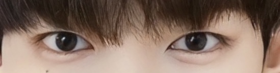 [잡담] 장하오 눈 진짜 신기함 | 인스티즈