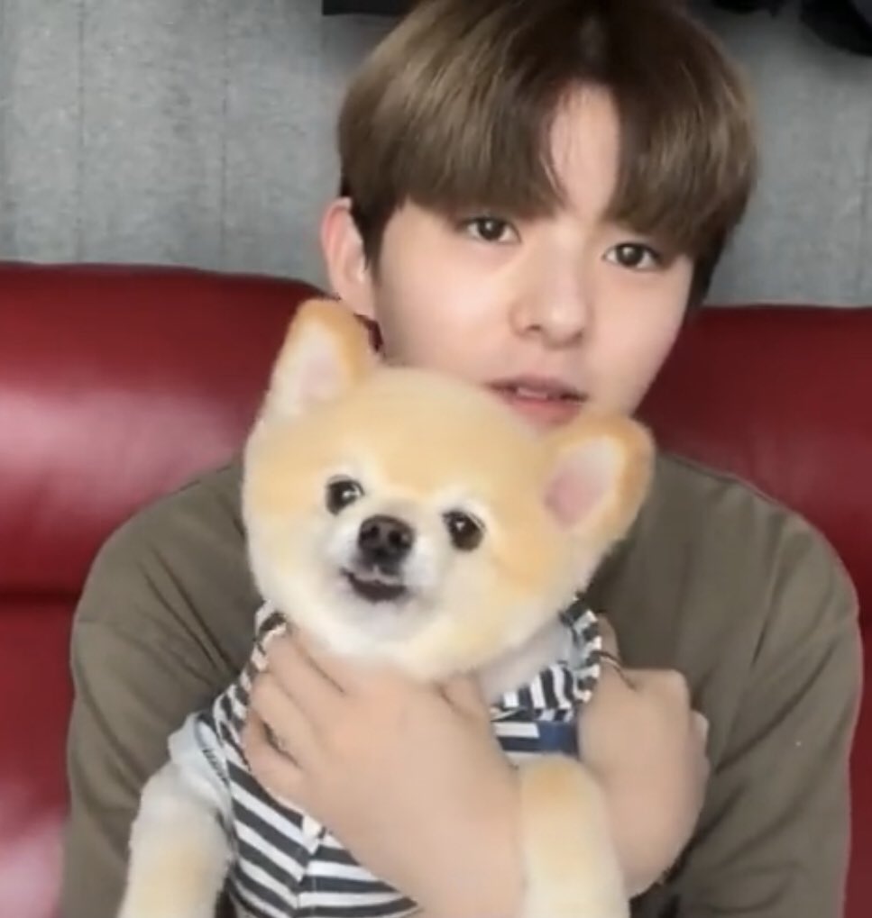 [잡담] 정민규네 강쥐랑 히로토네 강쥐 진짜 주인들 대신 무대서도 될듯ㅋㅋㅋㅋㅋㅋㅋ | 인스티즈