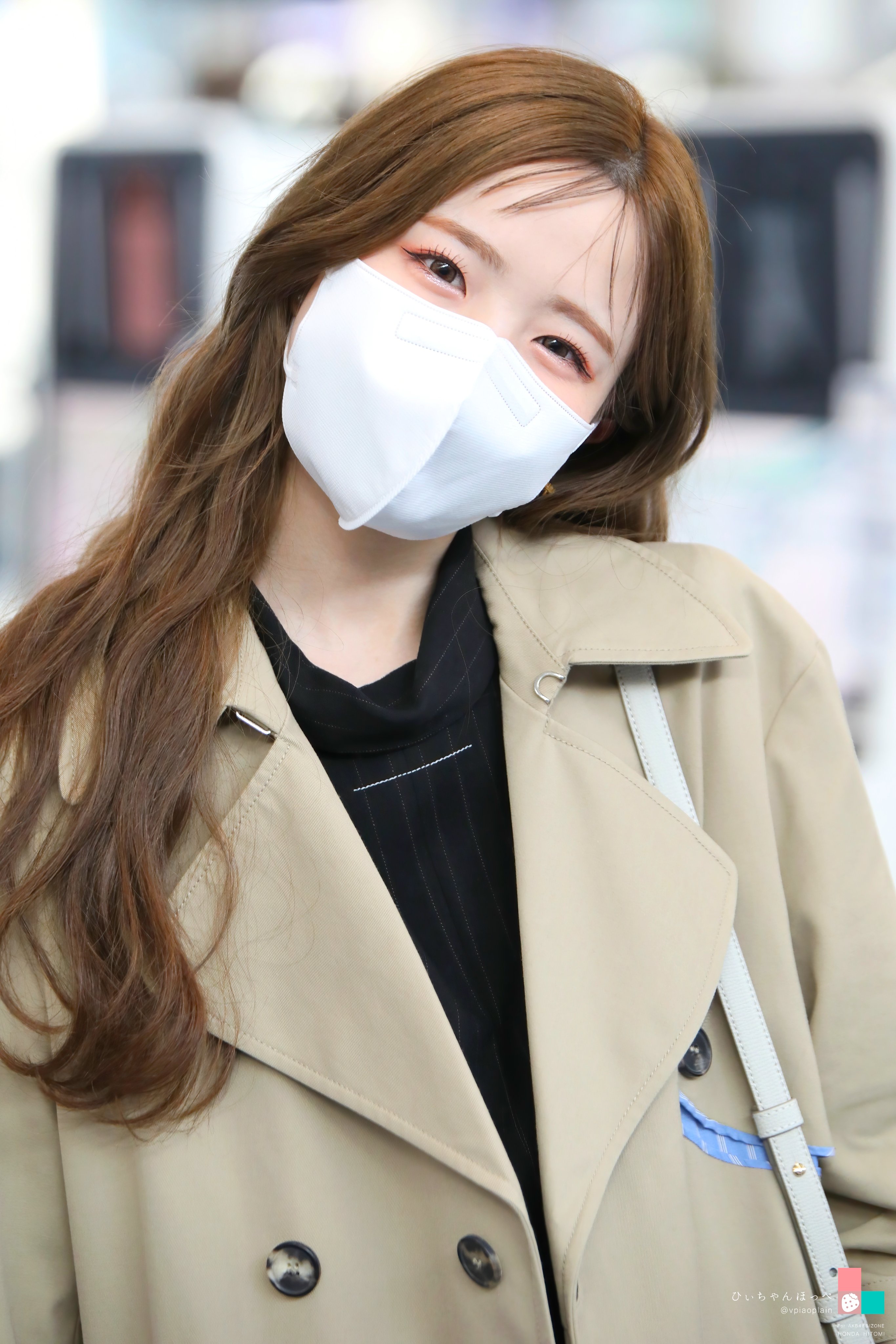 [잡담] 히토미 오늘 한국옴 | 인스티즈
