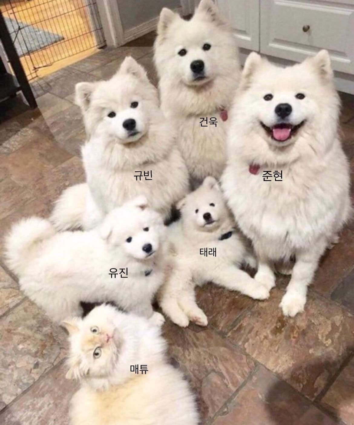 [잡담] 유매태개노조 캐해짤 | 인스티즈