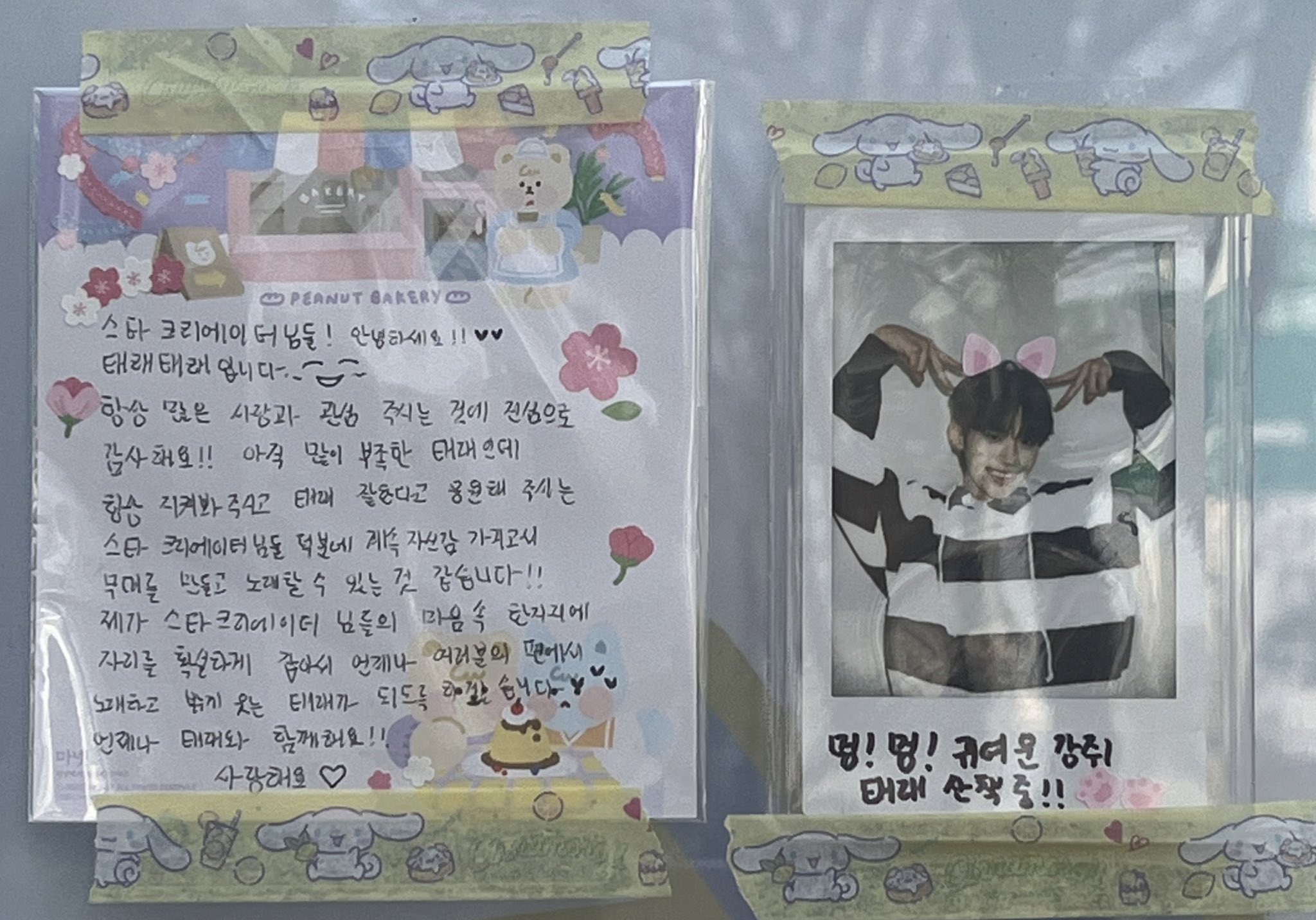 [잡담] 이쯤되면 태래는 진짜 고양이 귀를 강아지 귀라고 생각하고 있는 것 같은데 | 인스티즈