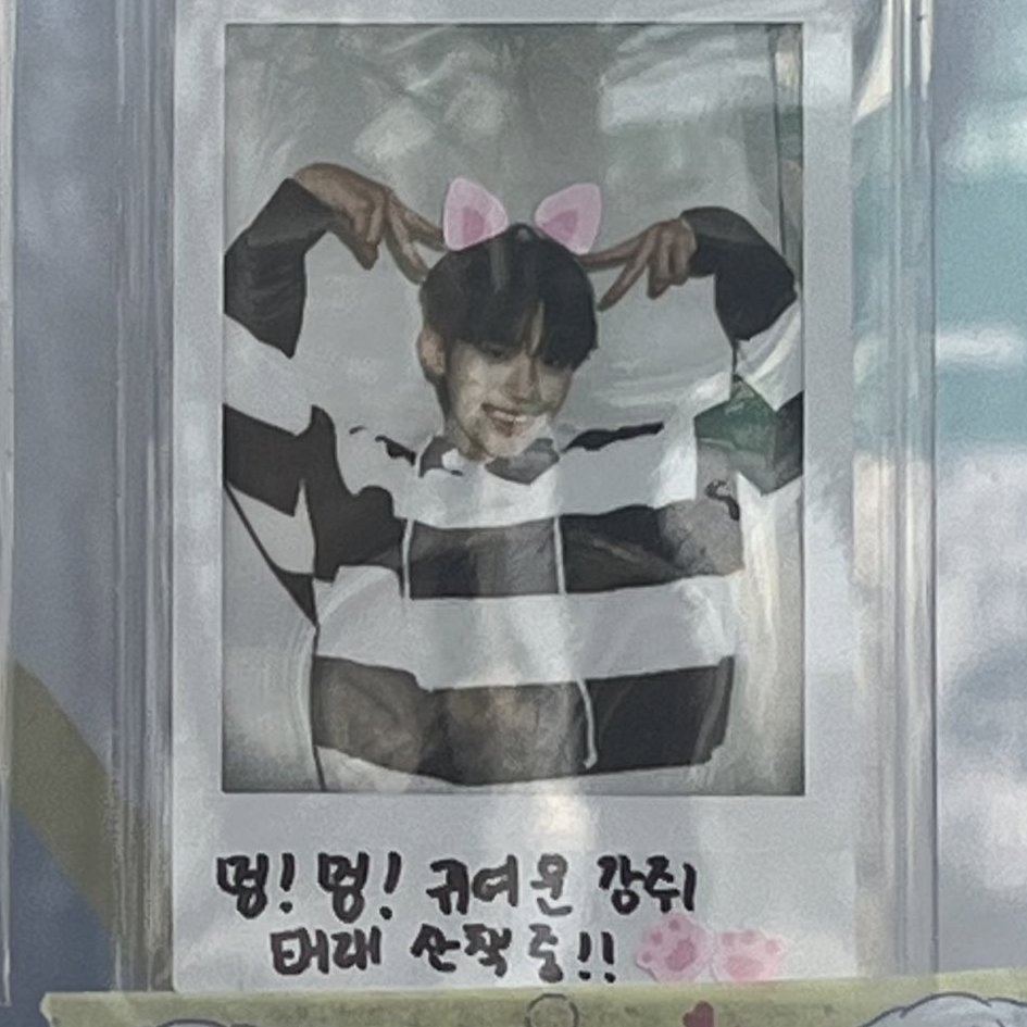 [잡담] 태래 진짜로 고양이귀인 거 모르는 거 같은뎈ㅋㅋㅋㅋㅋㅋㅋㅋㅋㅋㅋㅋ | 인스티즈