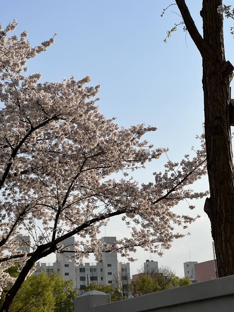 웨이브 파티원 모집 함께 사용하실분 | 인스티즈