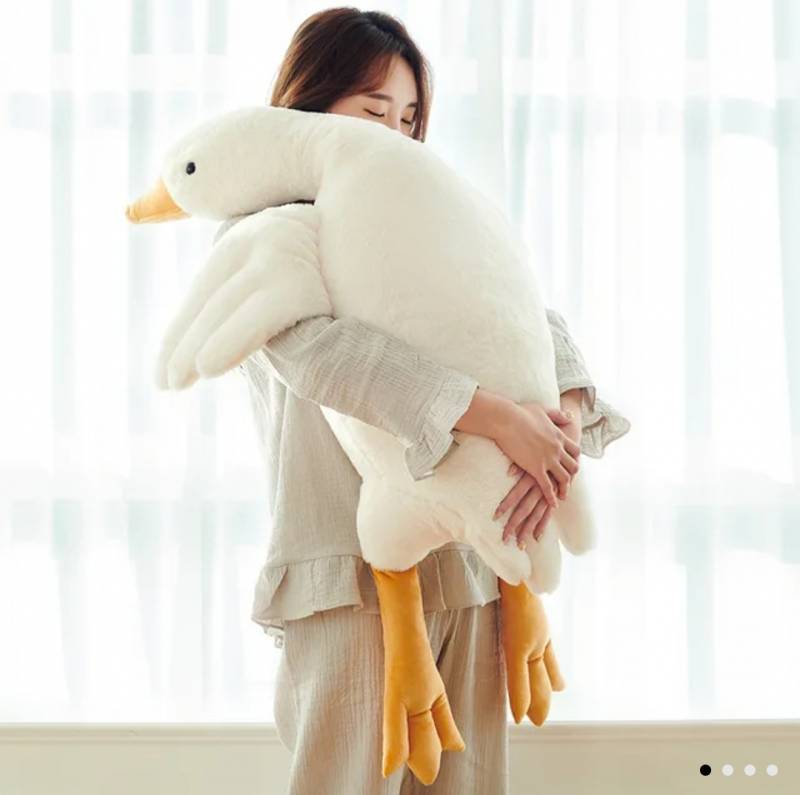 칭구 선물 인형 하나 하려고 하는데 뭘로 할까??? 1122 | 인스티즈