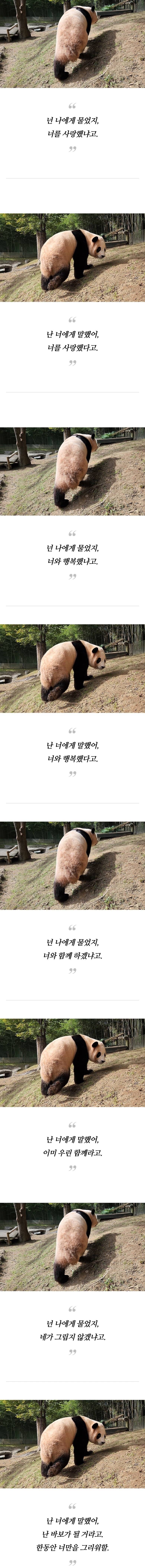 담당하던 아기원숭이를 보내고 방황하던 송바오의 마음의 벽이 무너진 순간 | 인스티즈