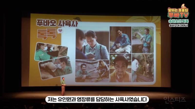 담당하던 아기원숭이를 보내고 방황하던 송바오의 마음의 벽이 무너진 순간 | 인스티즈
