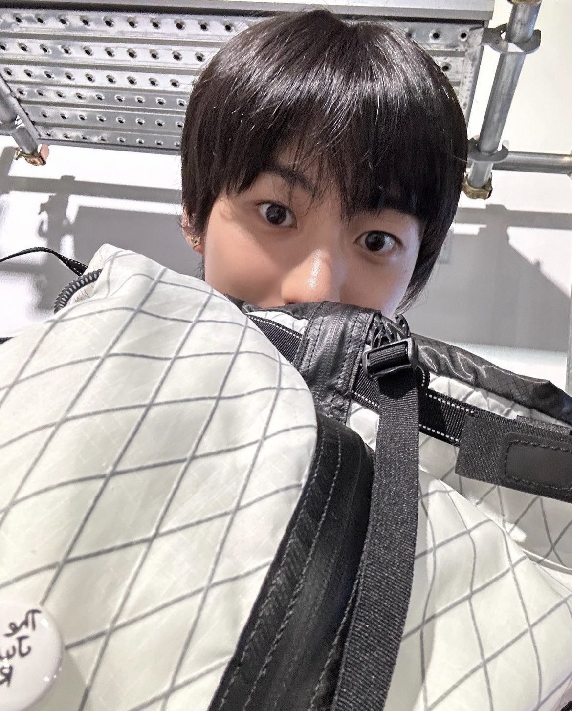 [잡담] 앤톤이는 무슨 강아지야? | 인스티즈