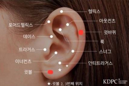 [잡담] 피어싱 위치 추천해줄 사람 ~.~ | 인스티즈