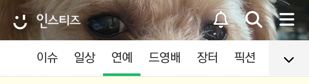 [잡담] 넌 누구니 | 인스티즈