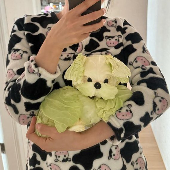 [잡담] 나 이 양배추 강아지 사진보고 놀래서 기절함 | 인스티즈