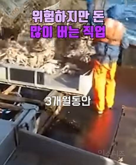 꼰대들은 절대 안 하는 직업 | 인스티즈