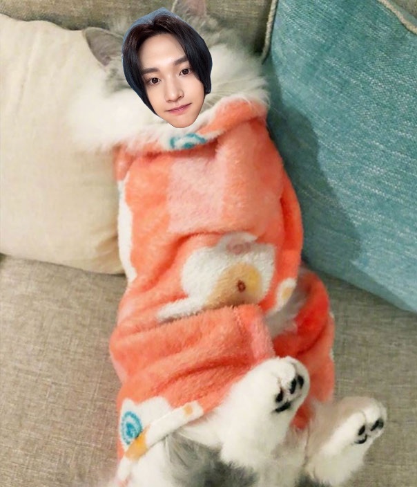 [잡담] 난 원빈이 기침 소리 들을때마다 화가나 | 인스티즈