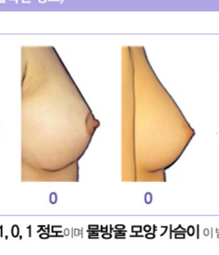 [잡담] 원래 75C컵 별로 안커...?ㅋ | 인스티즈