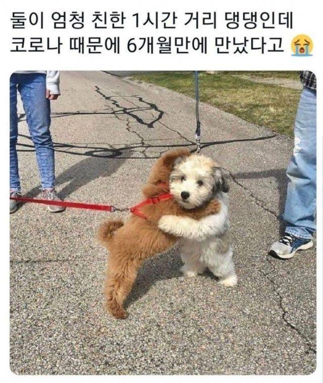 티빙한달 | 인스티즈