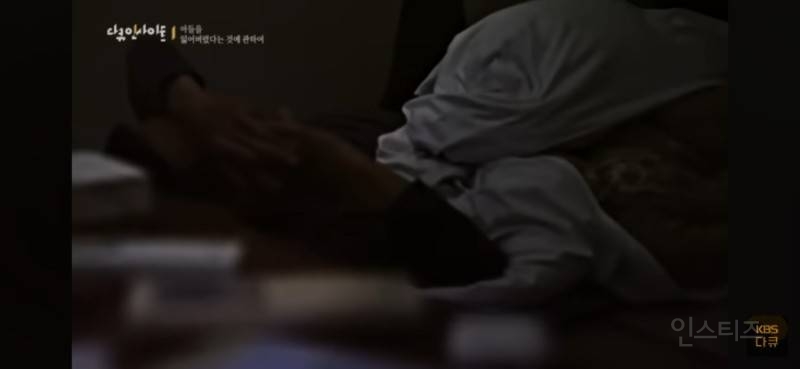 '원령공주'의 배경인 일본 야쿠섬에서 벌어진 한국인 실종사건 (김성진씨 실종사건) | 인스티즈
