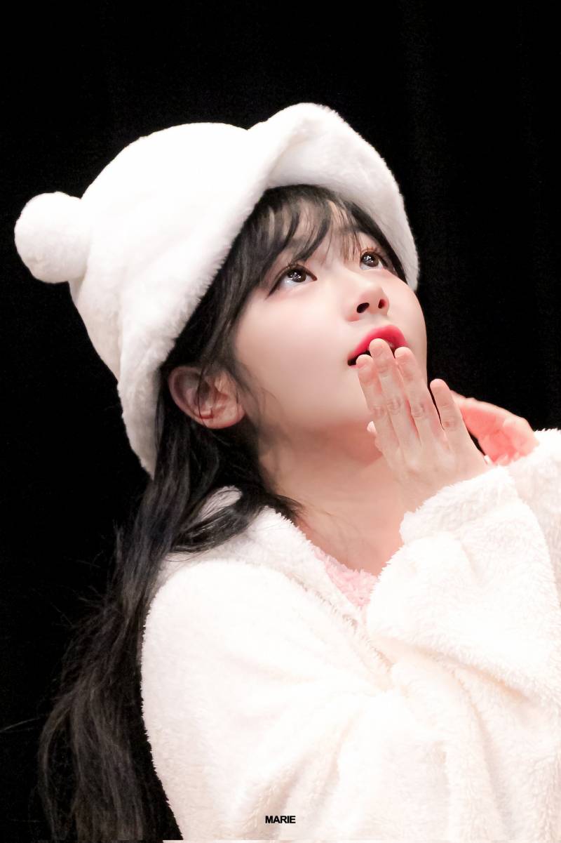 QWER의 강아지 조합 QR코드 비주얼 | 인스티즈