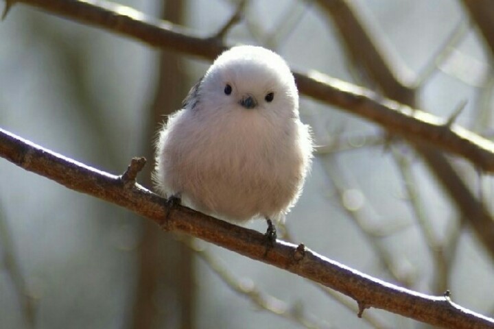[잡담] 나 이거 | 인스티즈