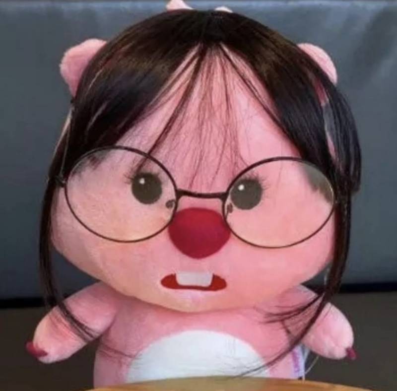 [잡담] 와 루피상 많이 봤어ㅋㅋㅋ | 인스티즈