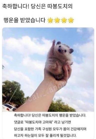 [잡담] 따봉xx야 고마워 유래 처음 알았어 | 인스티즈