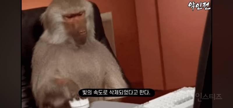 탈북자 손봄향 주작 제2의 ㅈㅊㅈ급 | 인스티즈
