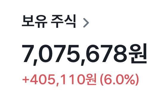 [해외주식] 주린이의 한달차 기록🥹 | 인스티즈