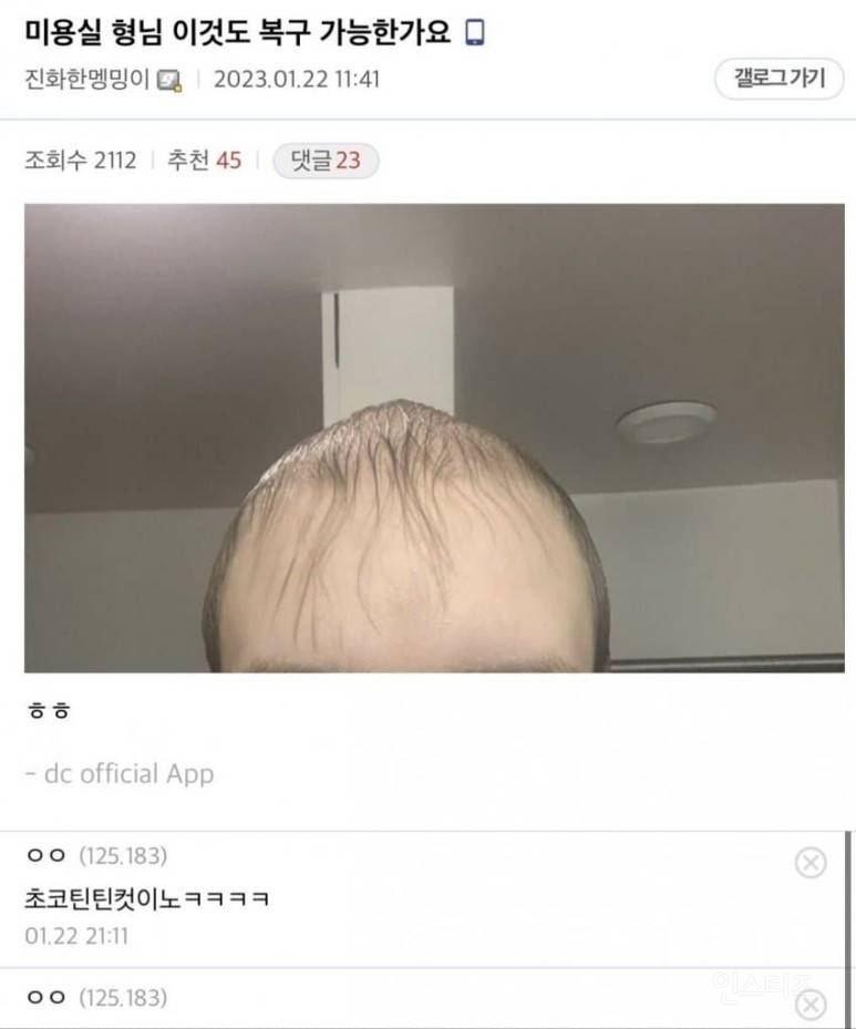 헤어갤러리 인증짤 모음.jpg | 인스티즈