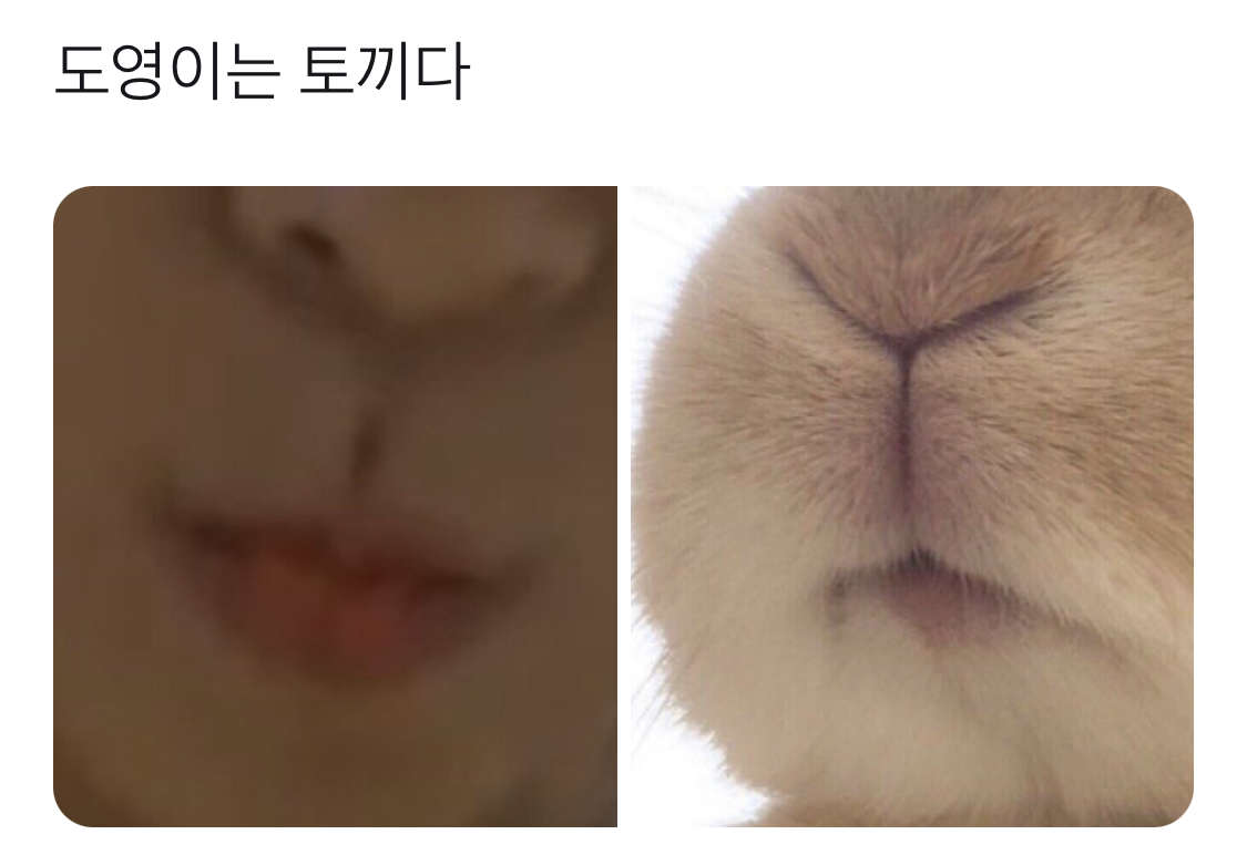 [잡담] 무엇이 도영 ? | 인스티즈