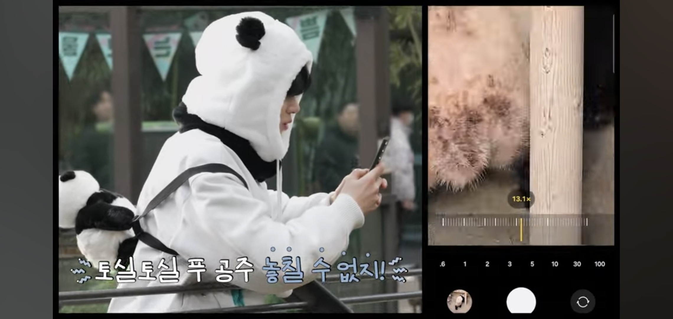 [잡담] 와 투바투 에버랜드 가서 드디어 연준 푸바오 만났는데 | 인스티즈