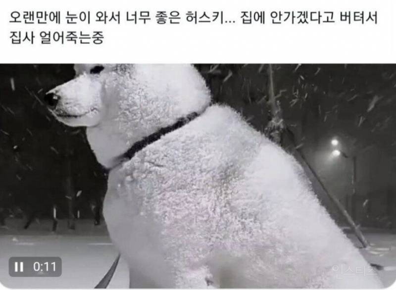 ???: 파트라슈....나..점점...추워.... | 인스티즈
