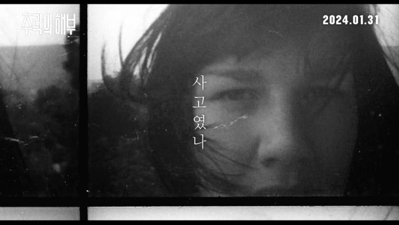 최근 영화제 씹어먹고 있는 여성 감독 작품 '추락의 해부' | 인스티즈