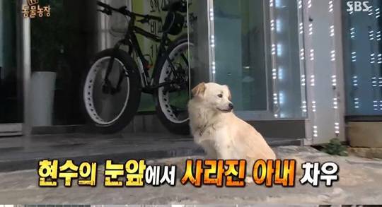 [잡담] 2015년 동물농장 보는데 진짜 충격임... (긴글) | 인스티즈
